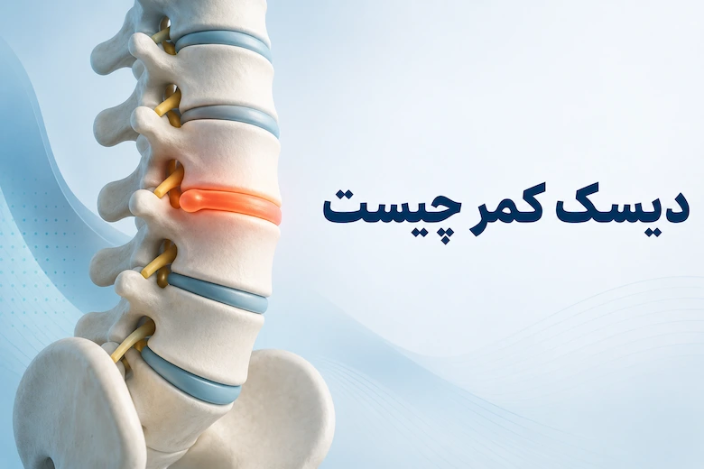 تصویری از دیسک کمر چیست